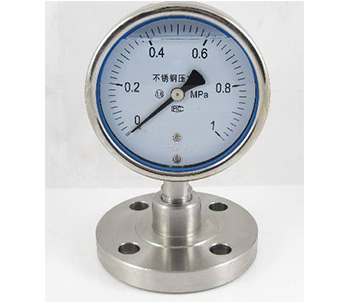 YTP-75S/100SFF防強腐全塑隔膜壓力表