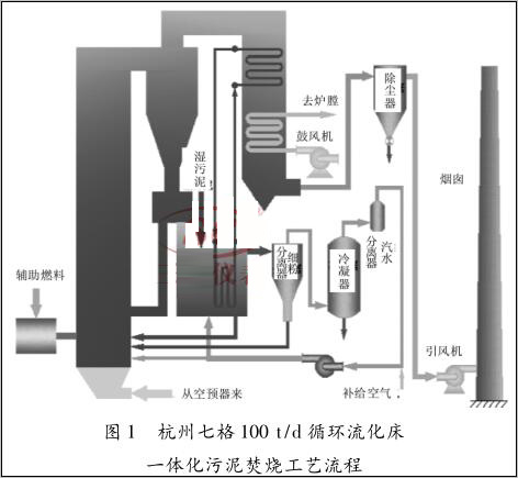 ߸100 t/d ѭh һwٟˇ