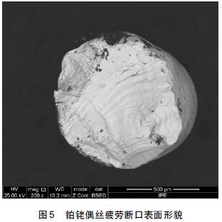鉑銠偶絲疲勞斷口表面形貌