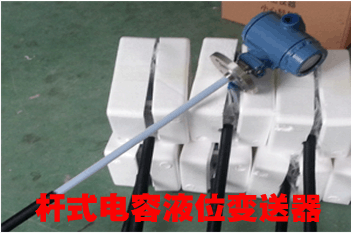 直桿式電容式液位變送器